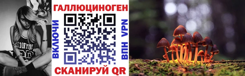 маркетплейс состав  Кизел  Псилоцибиновые грибы мухоморы 